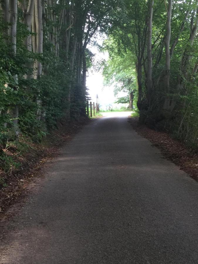 Terrasse De Malmedy Malmedy Nature 338 エクステリア 写真
